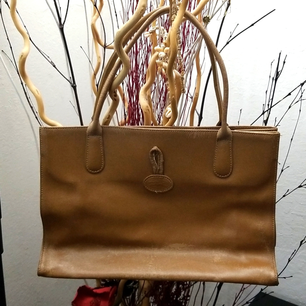 Long champ leather bag